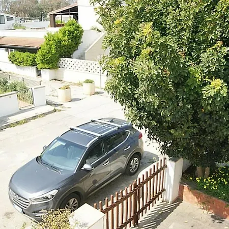 Zelia Apartment Lido Marini